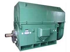 鹿城YKK系列高压电机